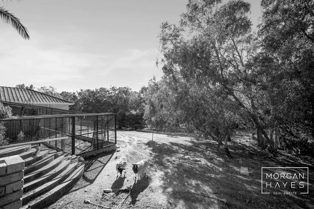 Kelmscott 5chambre The Ultimate Family Project Home!
