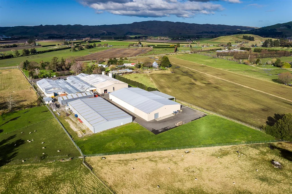 Pakipaki CBRE - Rare Large Hastings Facilities Available Now