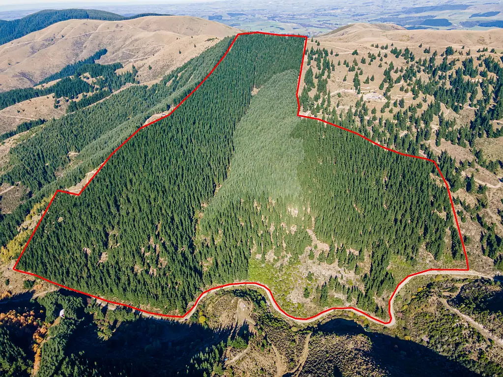 Geraldine Kakahu Forestry Block  - 50.5 Hectares