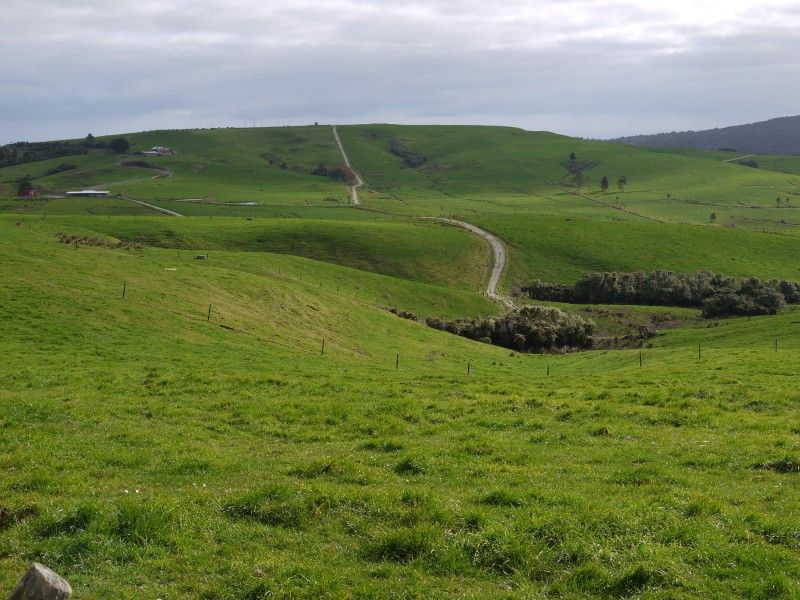 89 Jones Road, Dargaville Surrounds, Kaipara, 4 ห้องนอน, 1 ห้องน้ำ