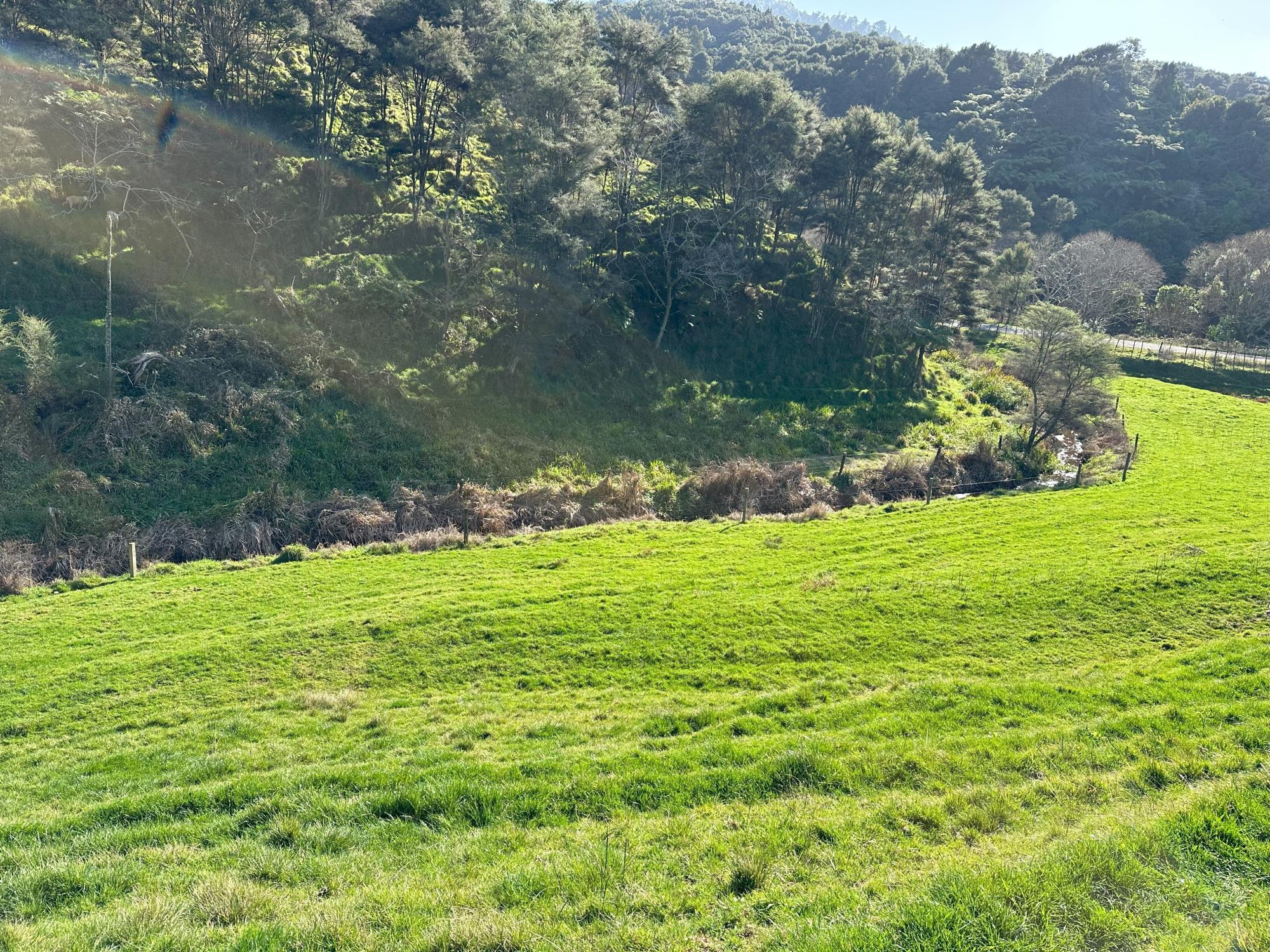 305 Waingaro Road, Ngaruawahia, Waikato, 0 phòng ngủ, 0 phòng tắm, House