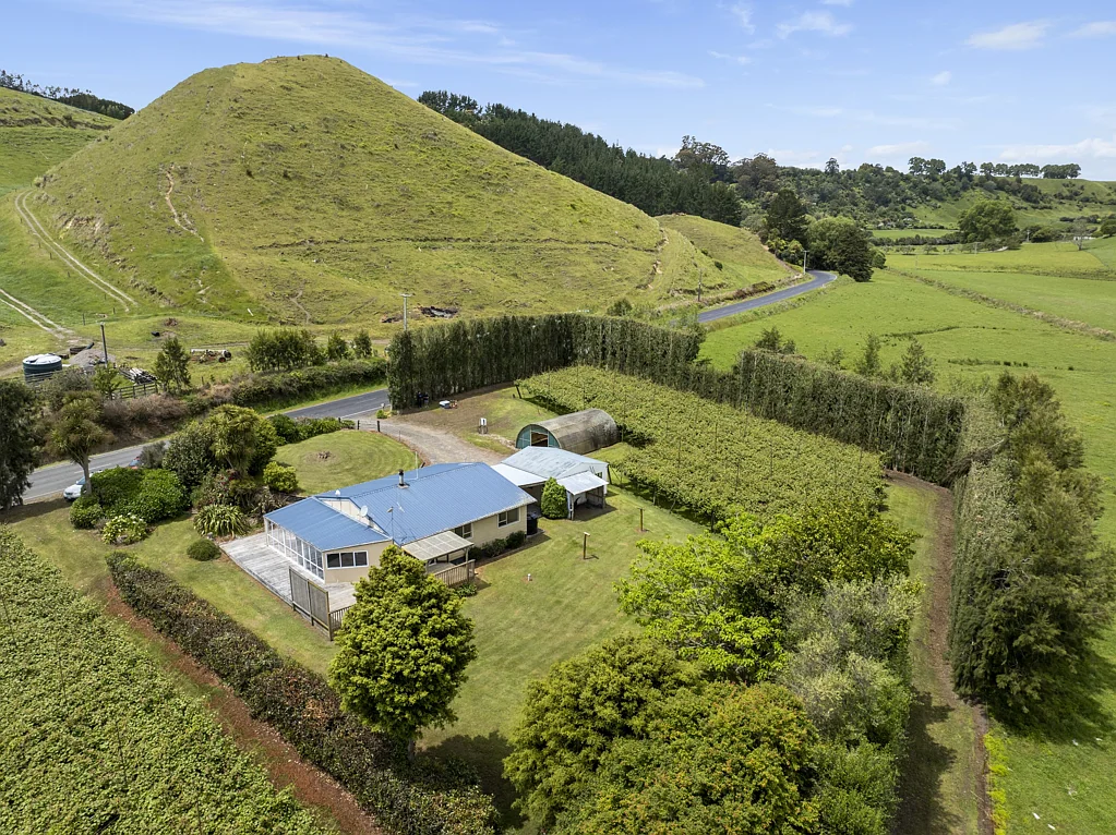 Pukehina Prime investment - home with red kiwifruit income
