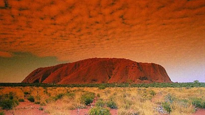 纽币对澳元创12年新低：圣诞赴澳成本大涨，两国经济差异加速显现！