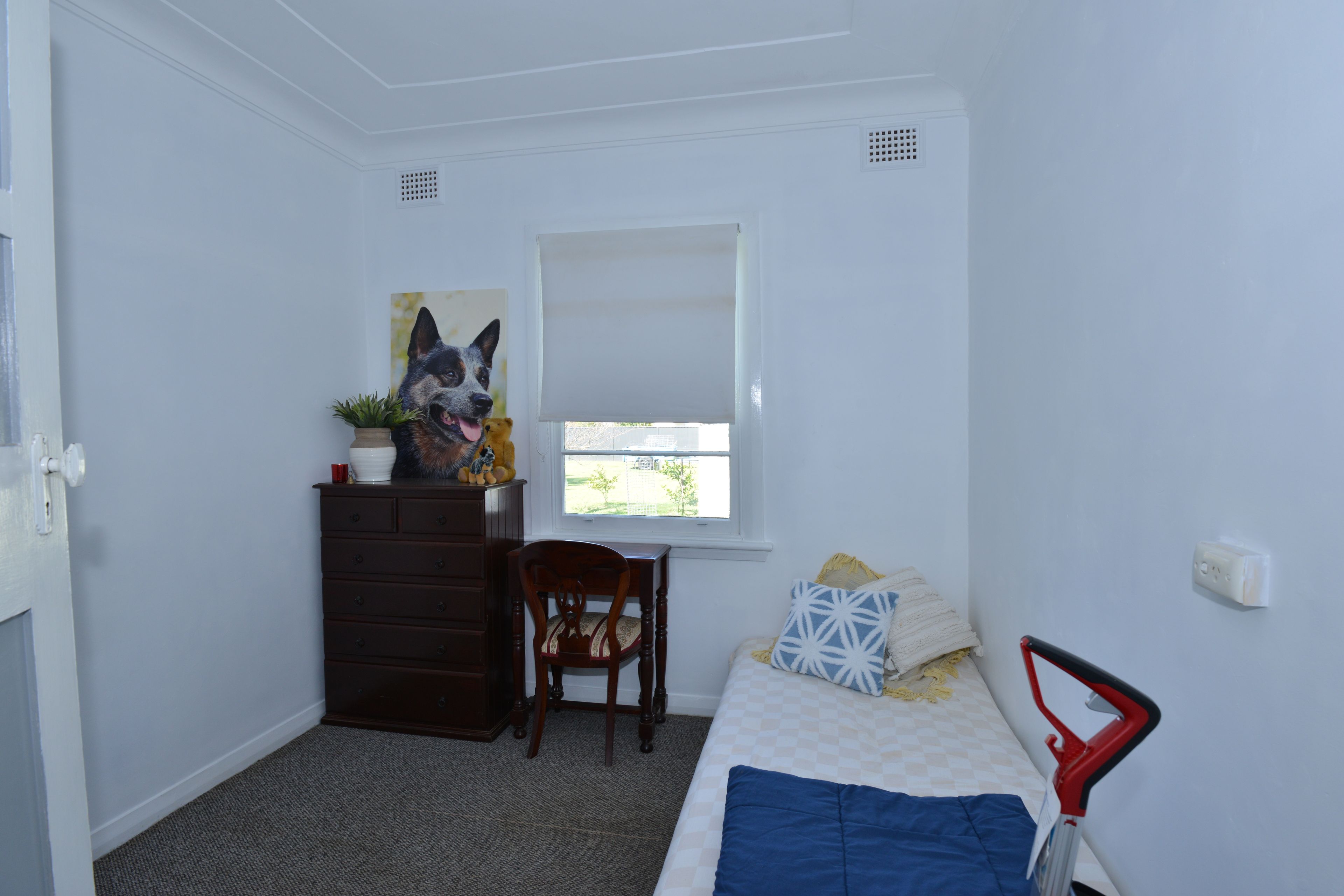 24 NAPIER ST, BINNAWAY NSW 2395, 0房, 0浴, House