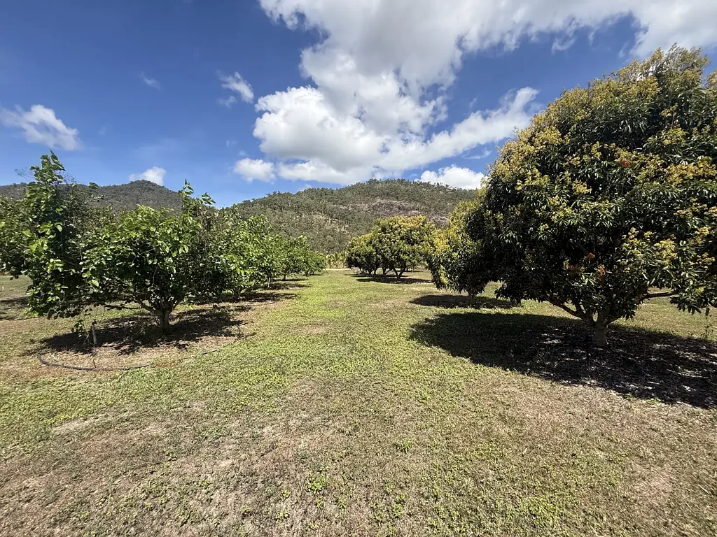 Murray Upper  Hobby farm with Home, Sheds, Bores, Orchard and Equipment on a 12.68 ha property, would also suit horses and cattle