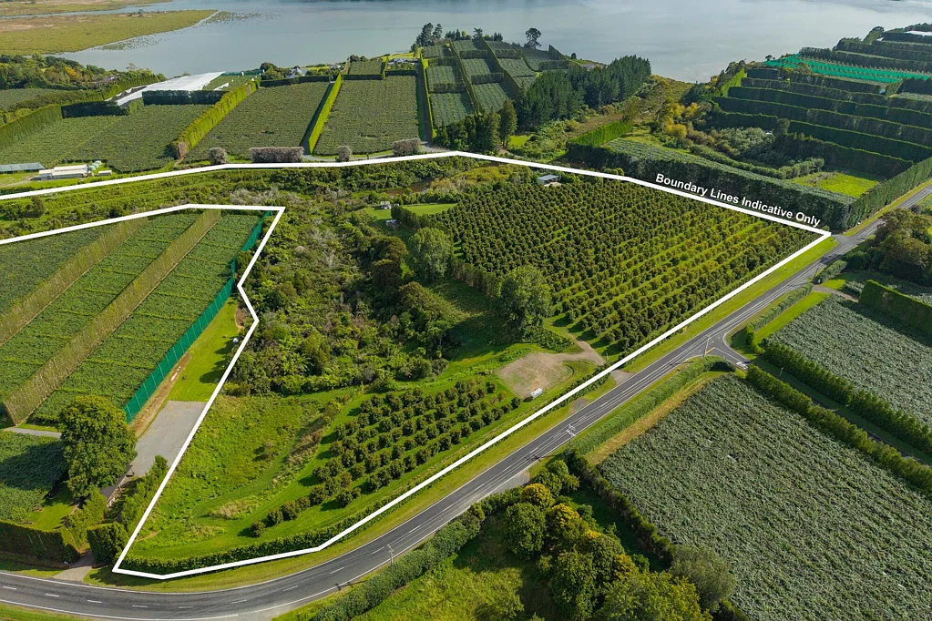 Katikati Absolute Gem!