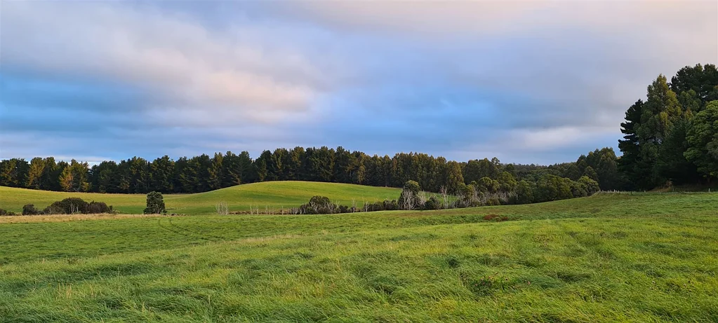Upper Natone Intensive Agriculture