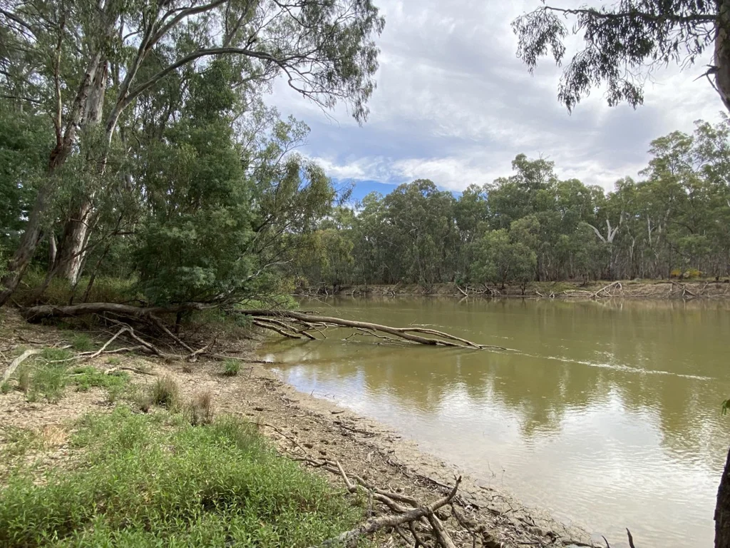 Barham  River Frontage