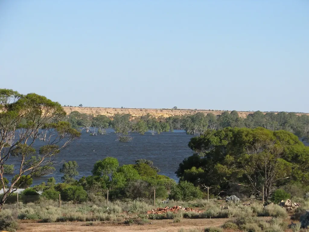 Blanchetown 7.11 Acres elevated with stunning views of cliffs and floodplain