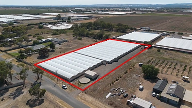 24 Clark Road, Virginia, SA 5120, 0 slaapkamers, 0 badkamers, Lifestyle Property