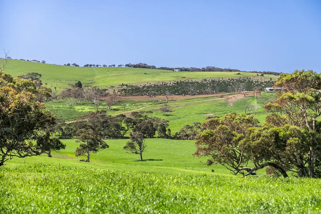 Cape Jervis  Sold by Harcourts Adelaide Hills!
