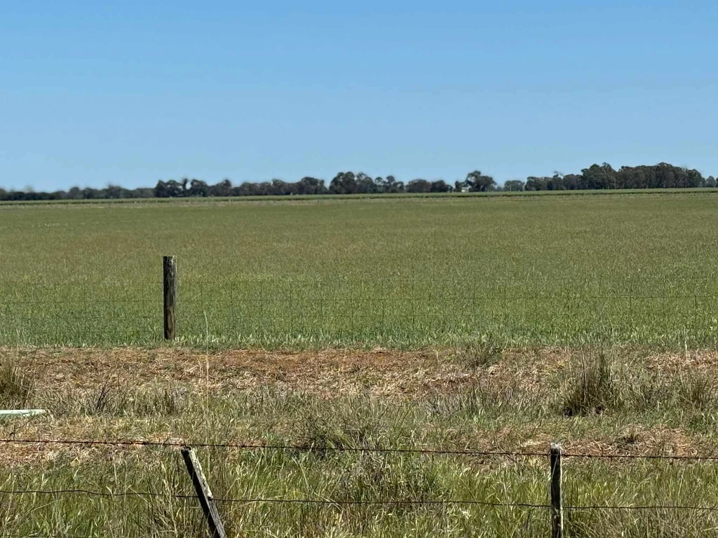 Kotta  318-acre Rural Property with Endless Potential