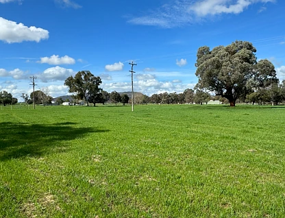 263 Hume Highway, Holbrook, Riverina, 0房, 0浴, Lifestyle Section