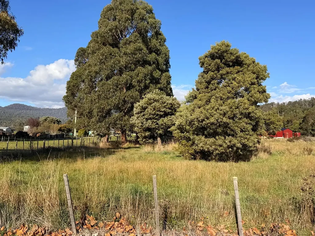 Meander Secure Your Slice of Meander – Land Available Now at 123 Main Road, TAS