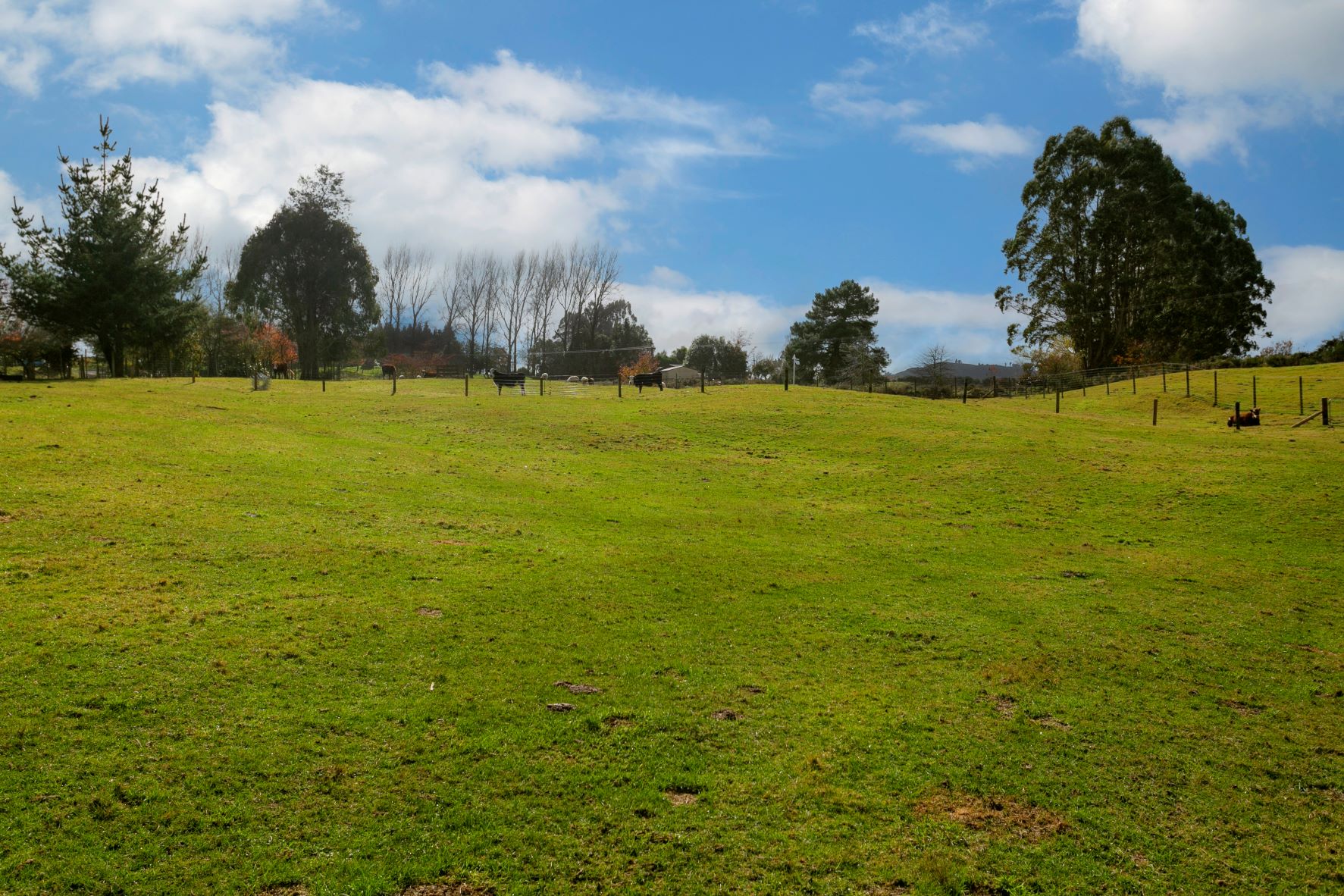 1/1171 Poihipi Road, Oruanui, Taupo, 5 ห้องนอน, 0 ห้องน้ำ