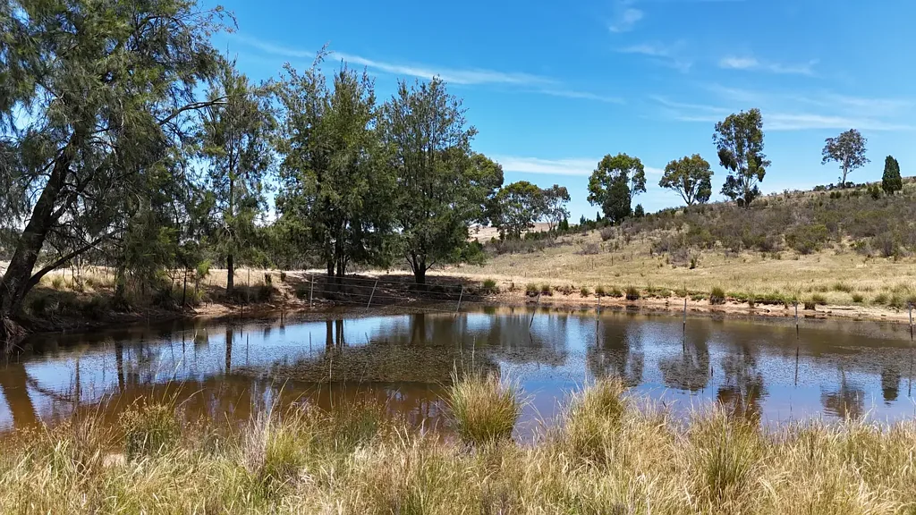 222 Battery Crossing Road, Reids Flat, NSW 2586