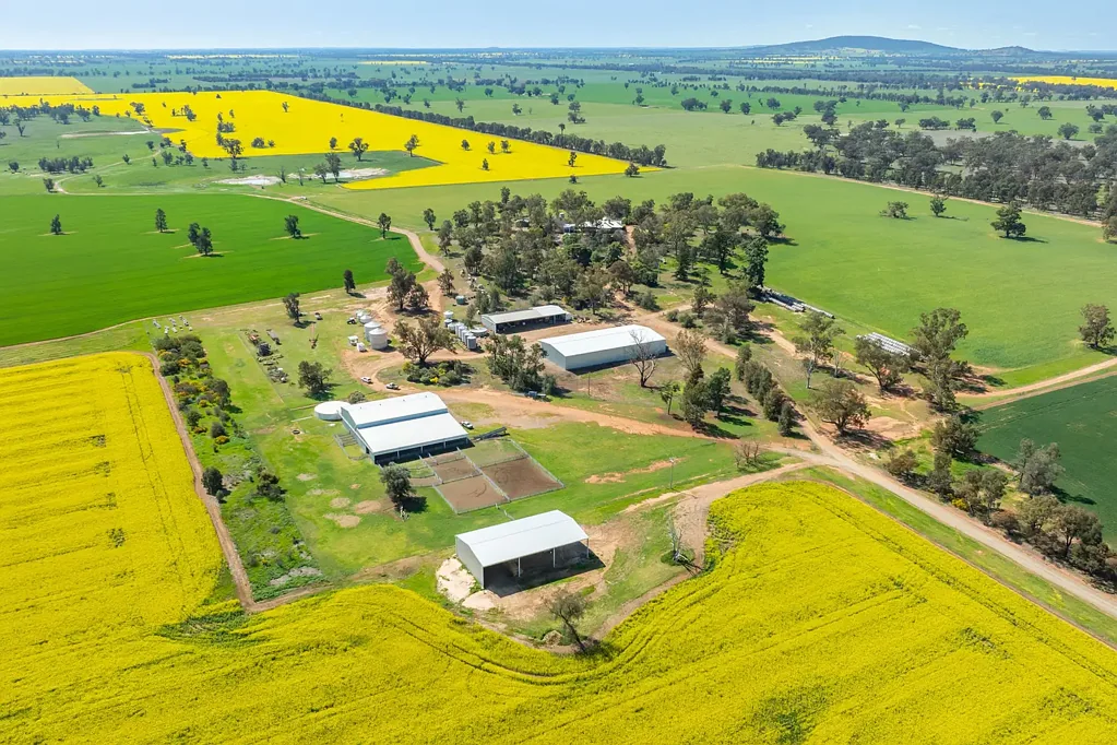 Balldale  Highly Versatile Eastern Riverina Holding   1,593.33*Ha | 3,937.13*Ac.