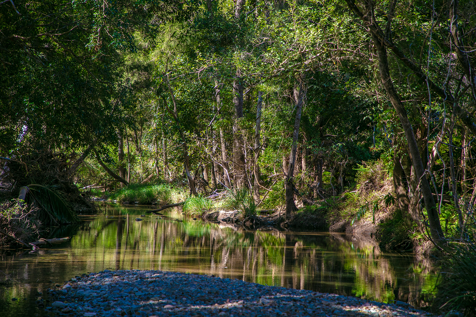 61 DR PAGE RD, CONONDALE QLD 4552, 0 ห้องนอน, 0 ห้องน้ำ, House