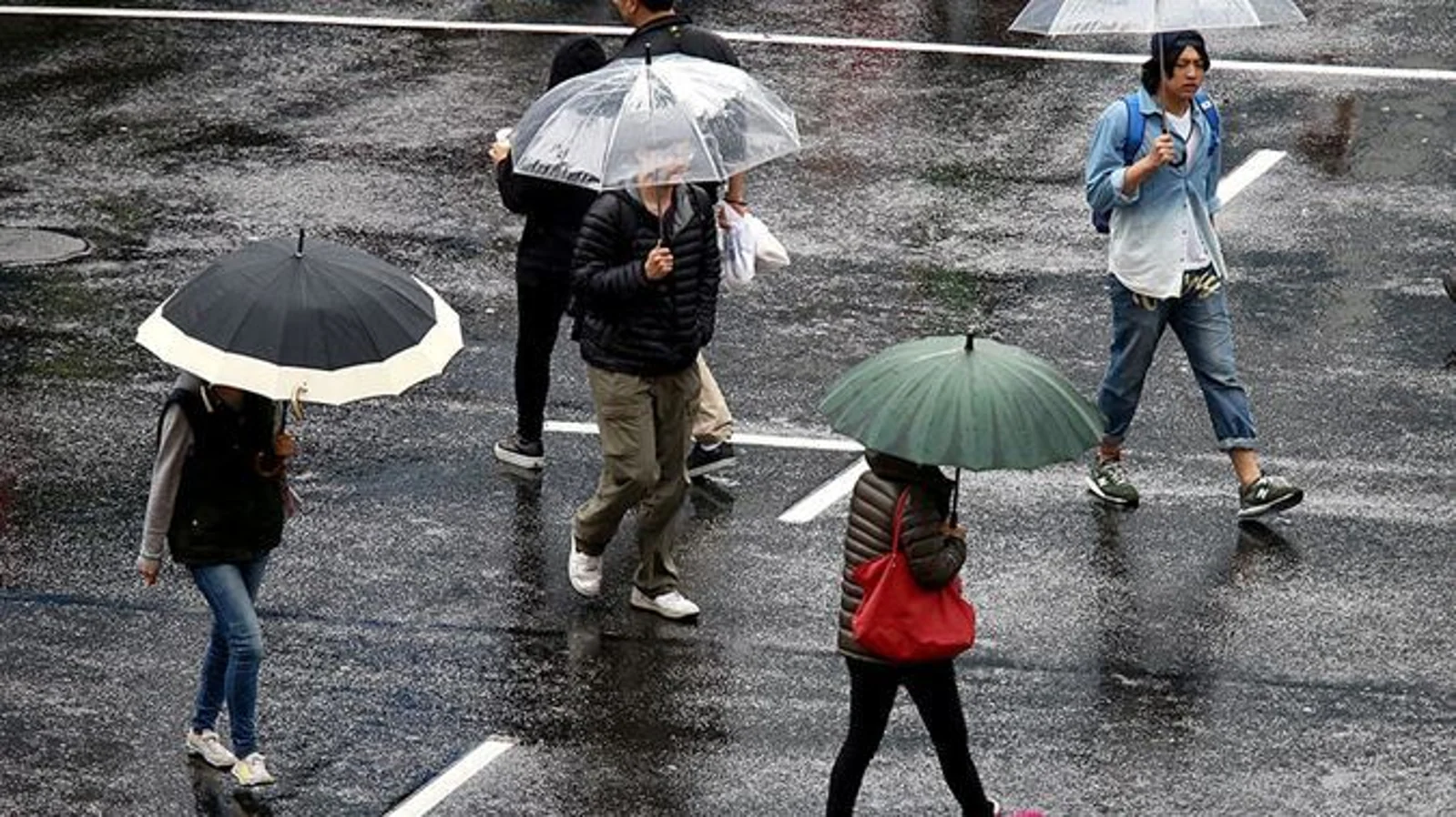 又来了!奥克兰刚刚发布强降雨、雷暴预警,出门切记带好雨具