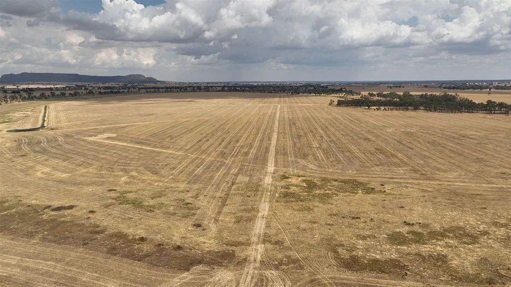 Mitre Cropping/ Grazing