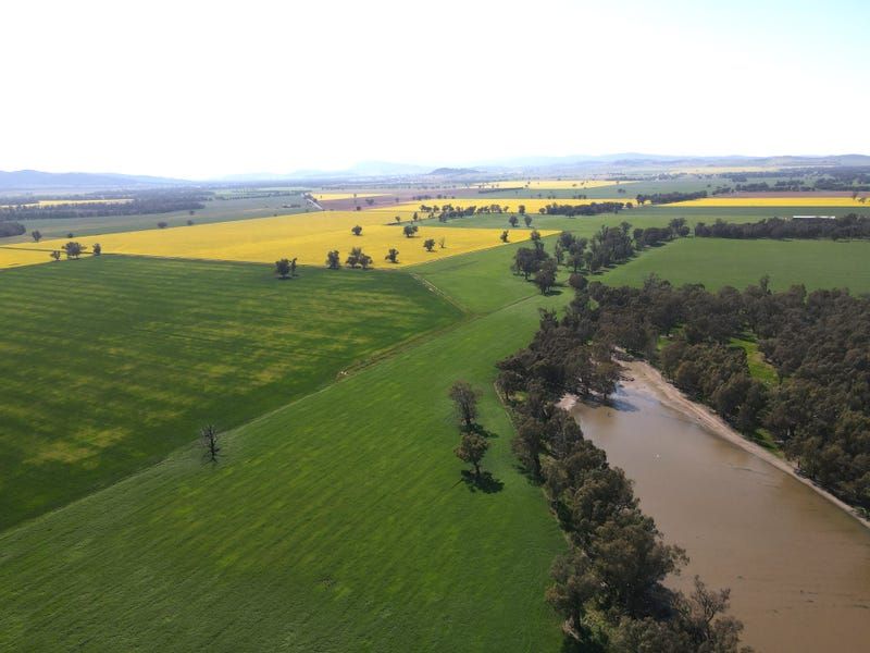 564 Paytens Bridge Road, "Havlah" & "The Junction",, Eugowra, NSW 2806, 5 ਕਮਰੇ, 1 ਬਾਥਰੂਮ, Lifestyle Property