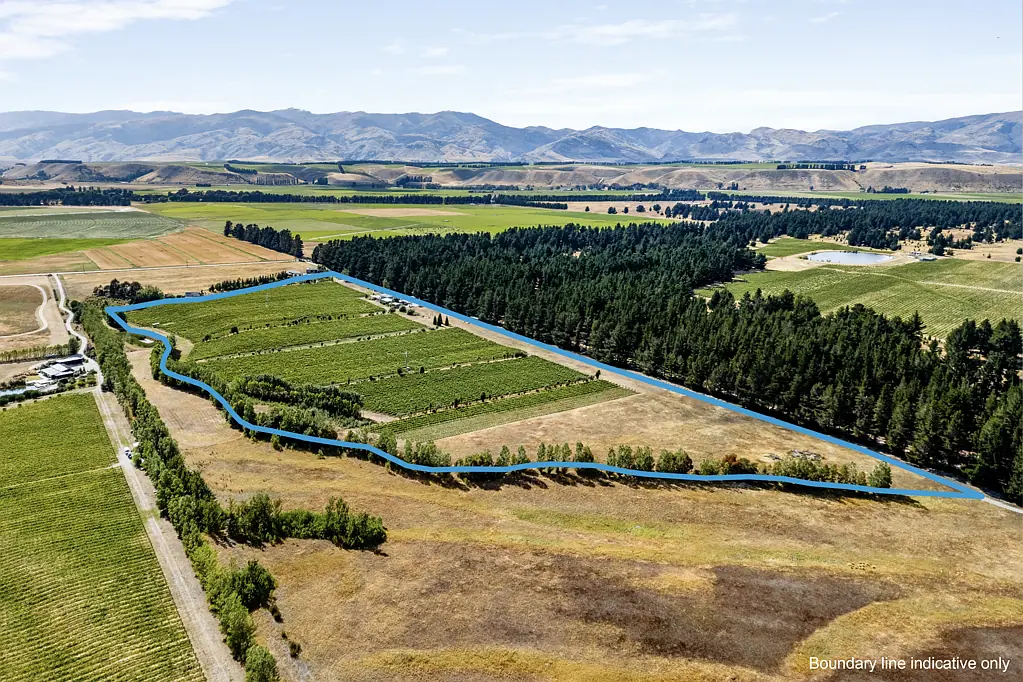 Cromwell Wines, Vines and Lifestyle