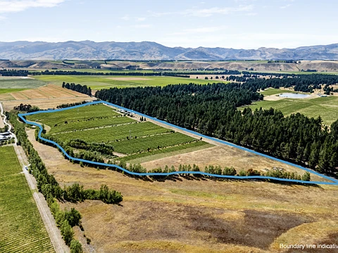 Cromwell Wines, Vines and Lifestyle