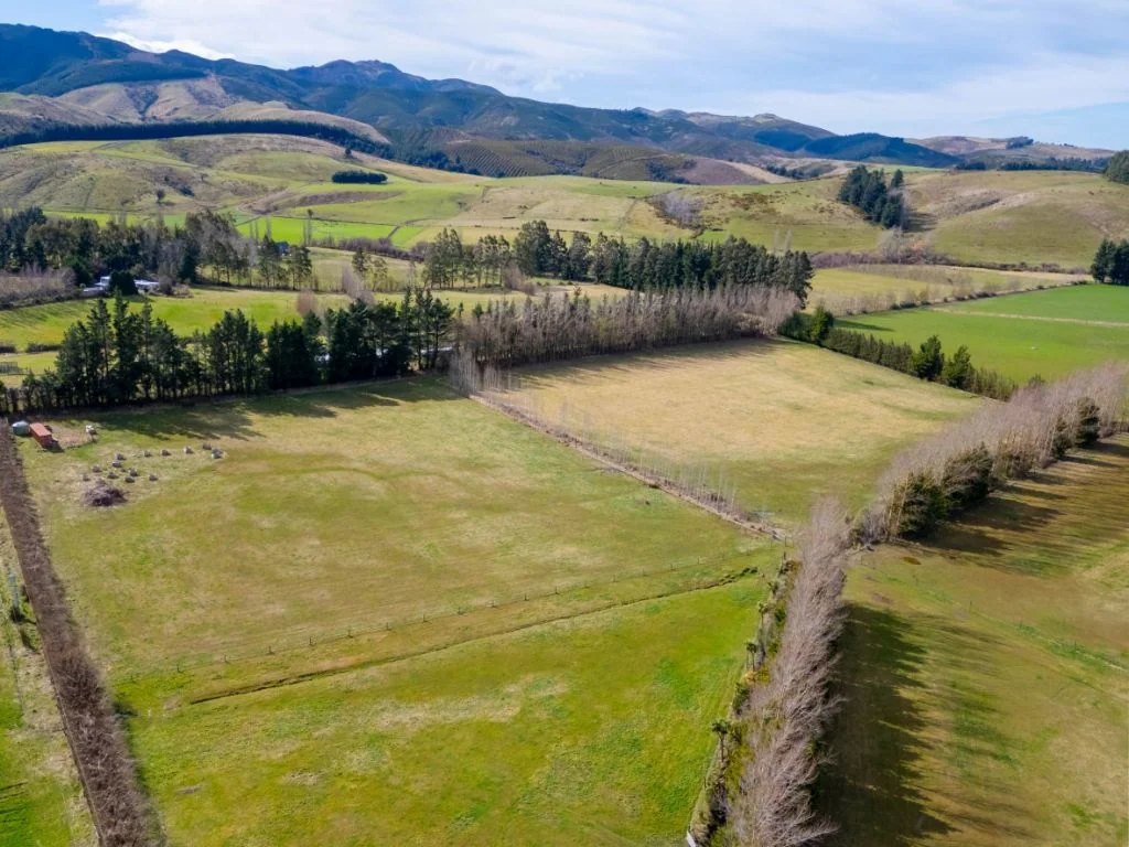 Coopers Creek  Space, Views & Lifestyle