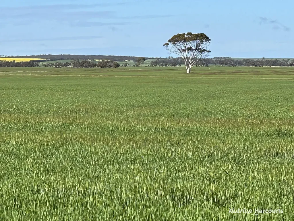 Kulin  "Craigie Lea"