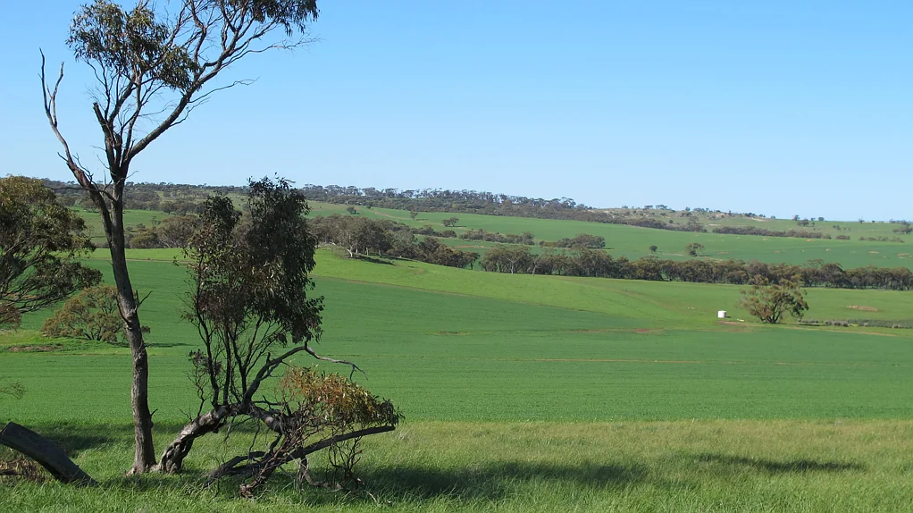 Wongamine Goomalling-Toodyay Road, Goomalling, WA 6460