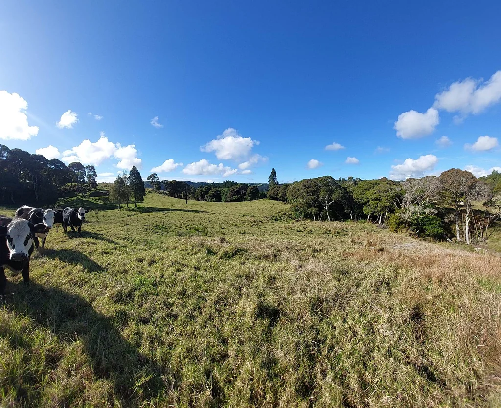 Kaeo Beautiful Lifestyle Lot 20 Minutes From Kerikeri