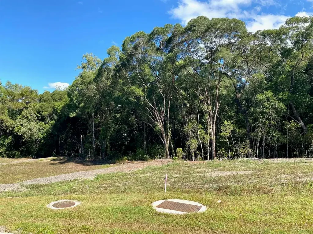 Palm Cove  832m2 large vacant lot with rainforest backdrop.