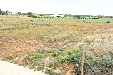 LOT 70, 71 & 7 Badcoe Road, Loxton, SA 5333, 0房, 0浴, Section