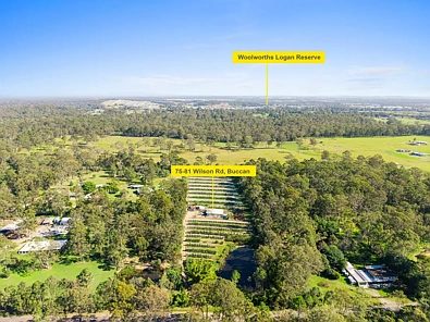 75-81 Wilson Road, Buccan, QLD 4207, 0 slaapkamers, 0 badkamers, Section