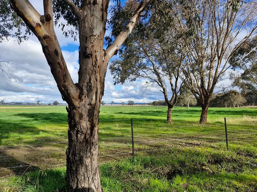 Address Withheld, Gulgong, NSW 2852
