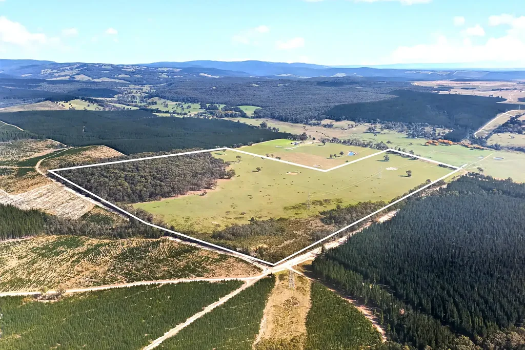 Flynns Creek Grazing, Lifestyle & Future Potential