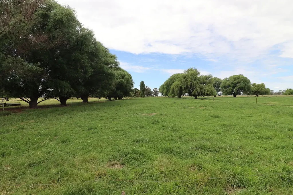 Leitchville Boutique Dairy Farm with Spacious Family Homestead