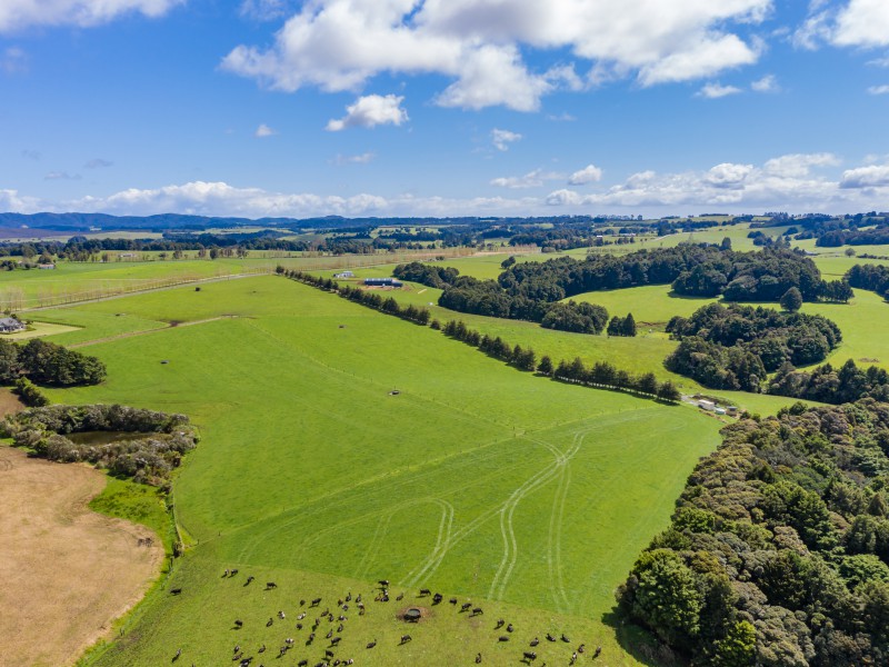 910 State Highway 1, Okaihau, Far North, 0 Bedrooms, 1 Bathrooms, Dairy