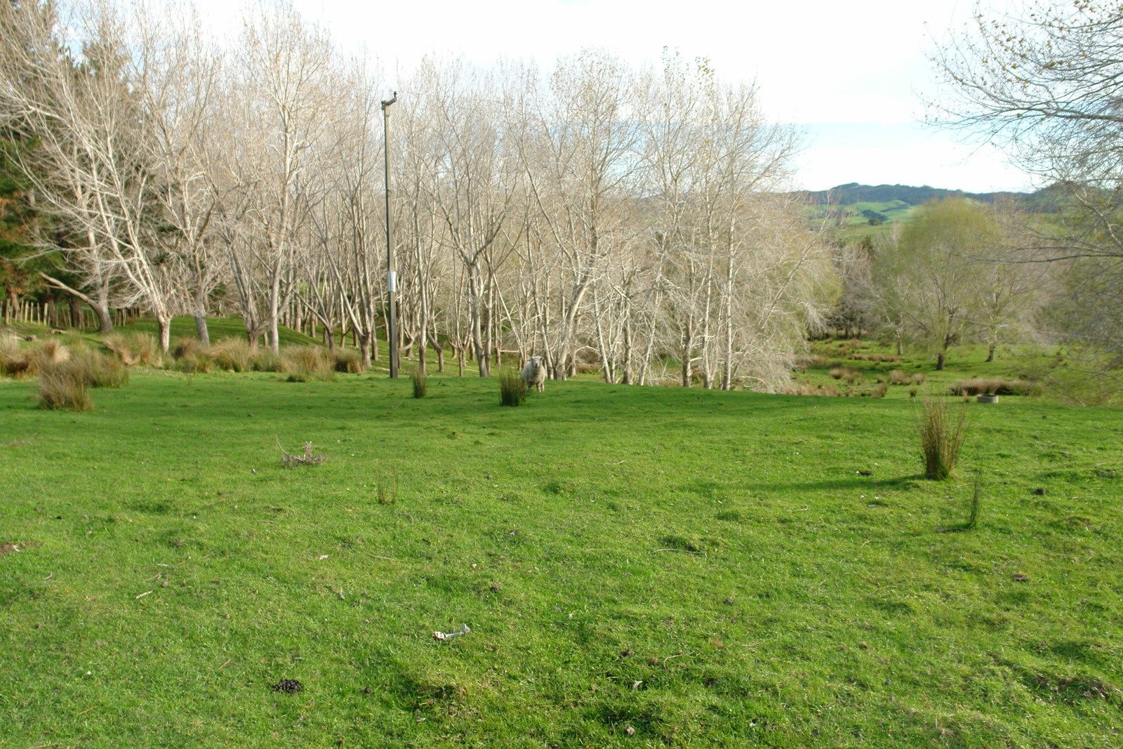 Otara Road, Kaiwaka, Kaipara, 0房, 0浴