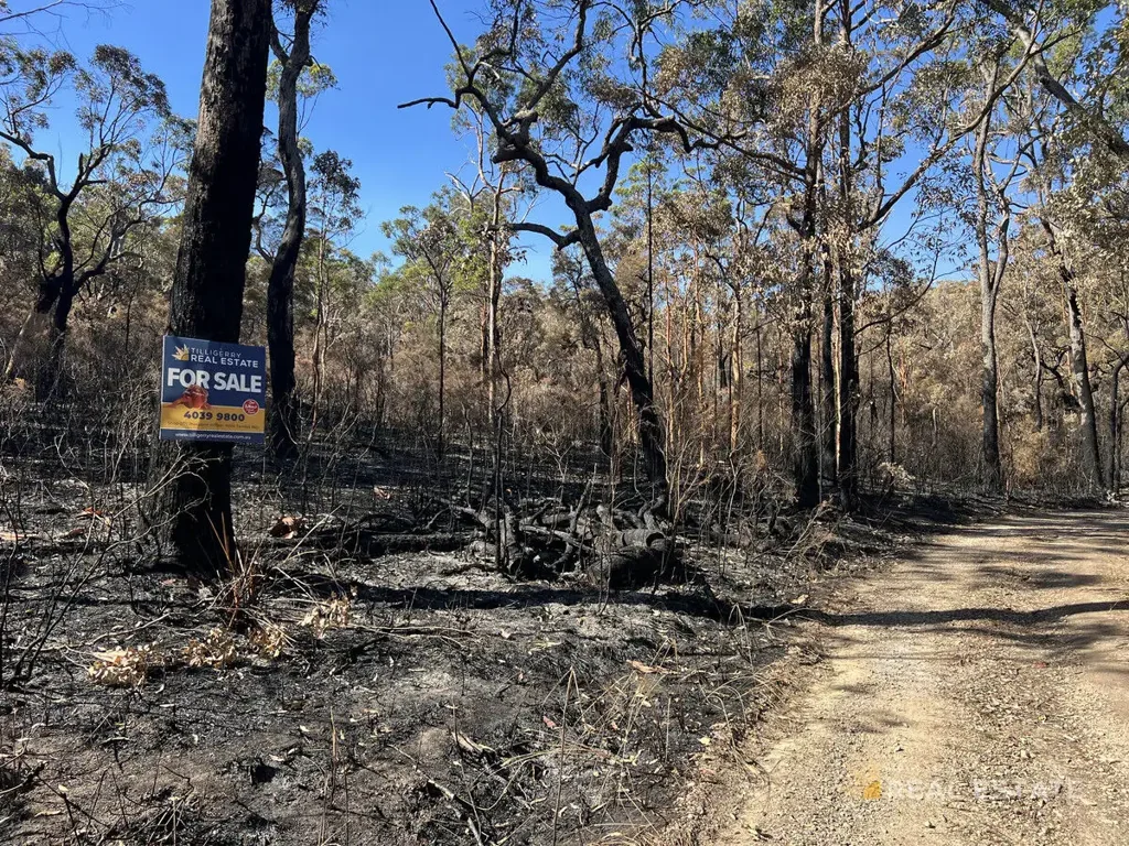 LOT 795 Tenterfield Road, North Arm Cove, NSW 2324