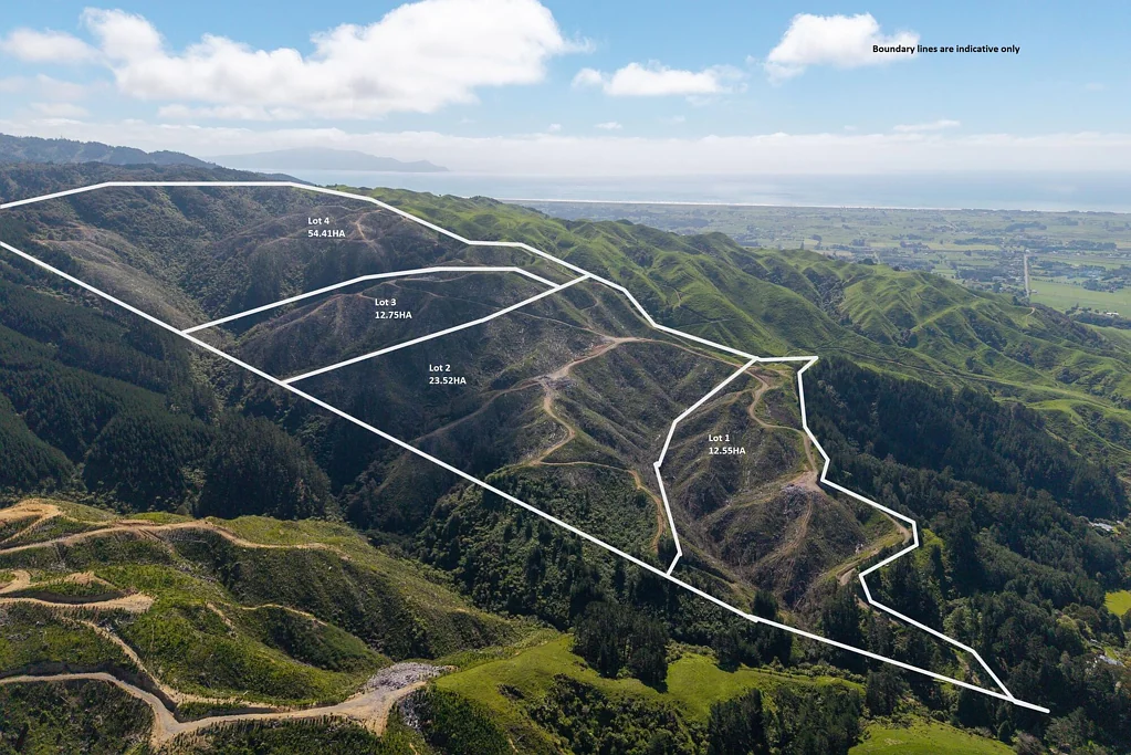 Otaki  Forestry Investment & Development Opp