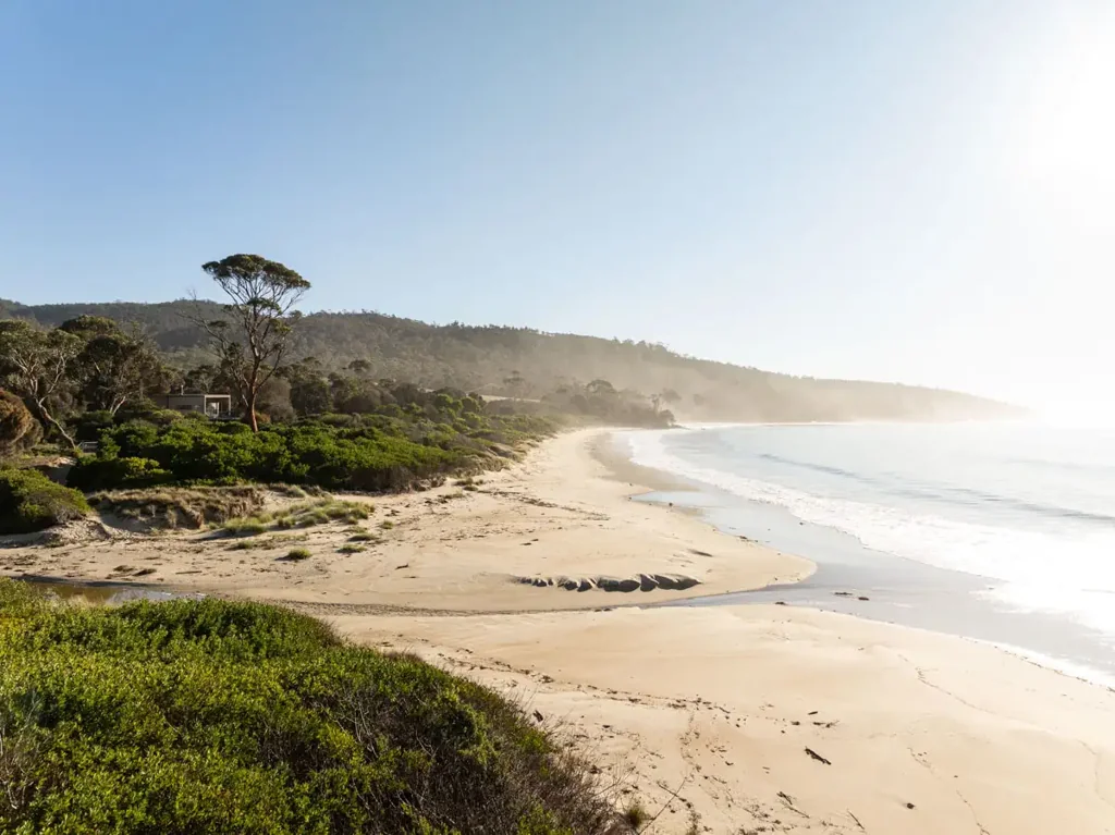 11766 Tasman Highway, Little Swanport, TAS 7190