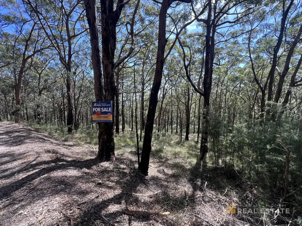 North Arm Cove ELEVATED 860M2 NON-URBAN BLOCK WITH BEAUTIFUL OUTLOOK