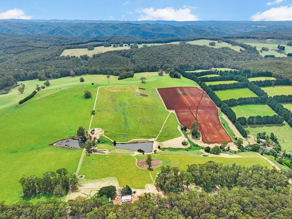 Erica 91 Acres Cleared Rich Chocolate Soil in Erica with 22 Meg Water Licence