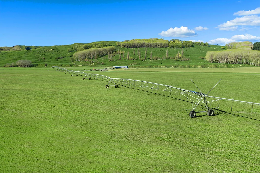 Hawkes Bay Area 333ha Tukituki River cropping/finishing farm