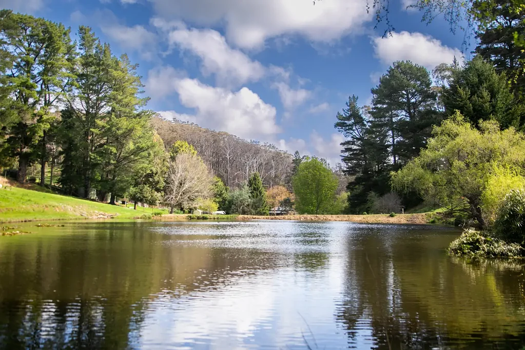 140 Gully Road, Carey Gully, SA 5144