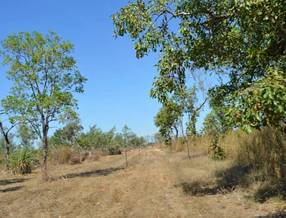 375 Darwin River Road, Darwin River, NT 841, 0房, 0浴, 建地