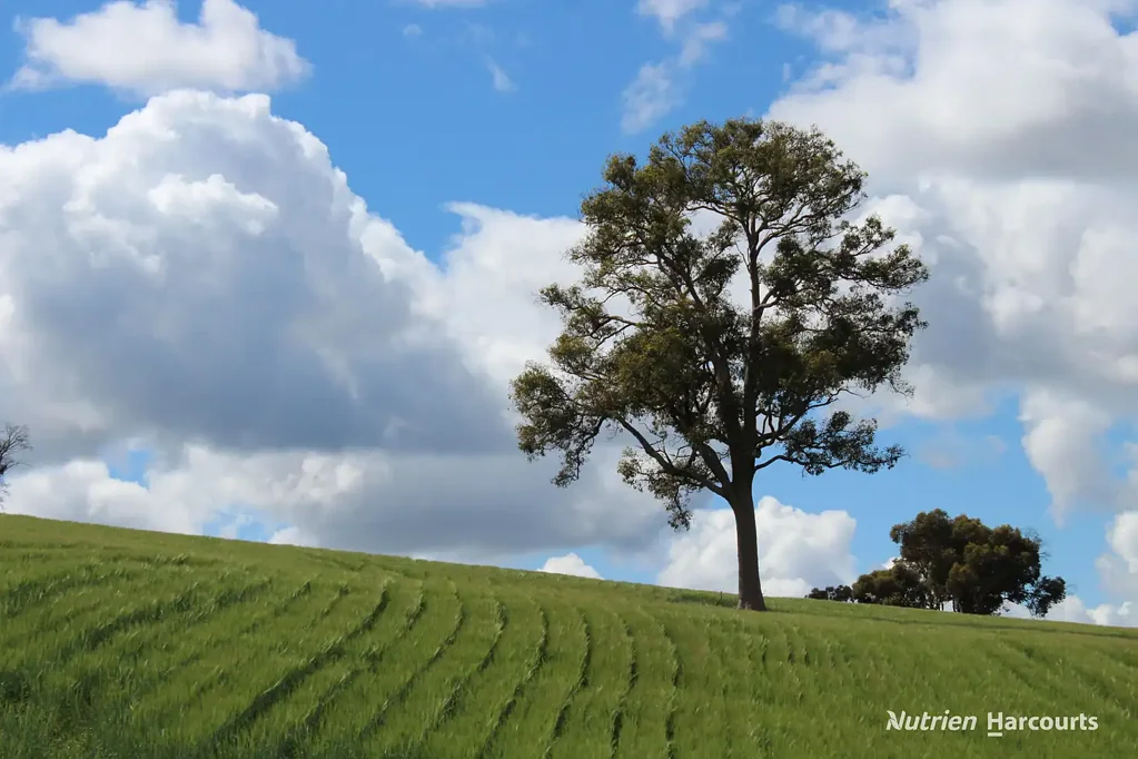 Jelcobine PRODUCTIVE CROPPING & LIVESTOCK OPPORTUNITY IN A TIGHTLY HELD FARMING DISTRICT