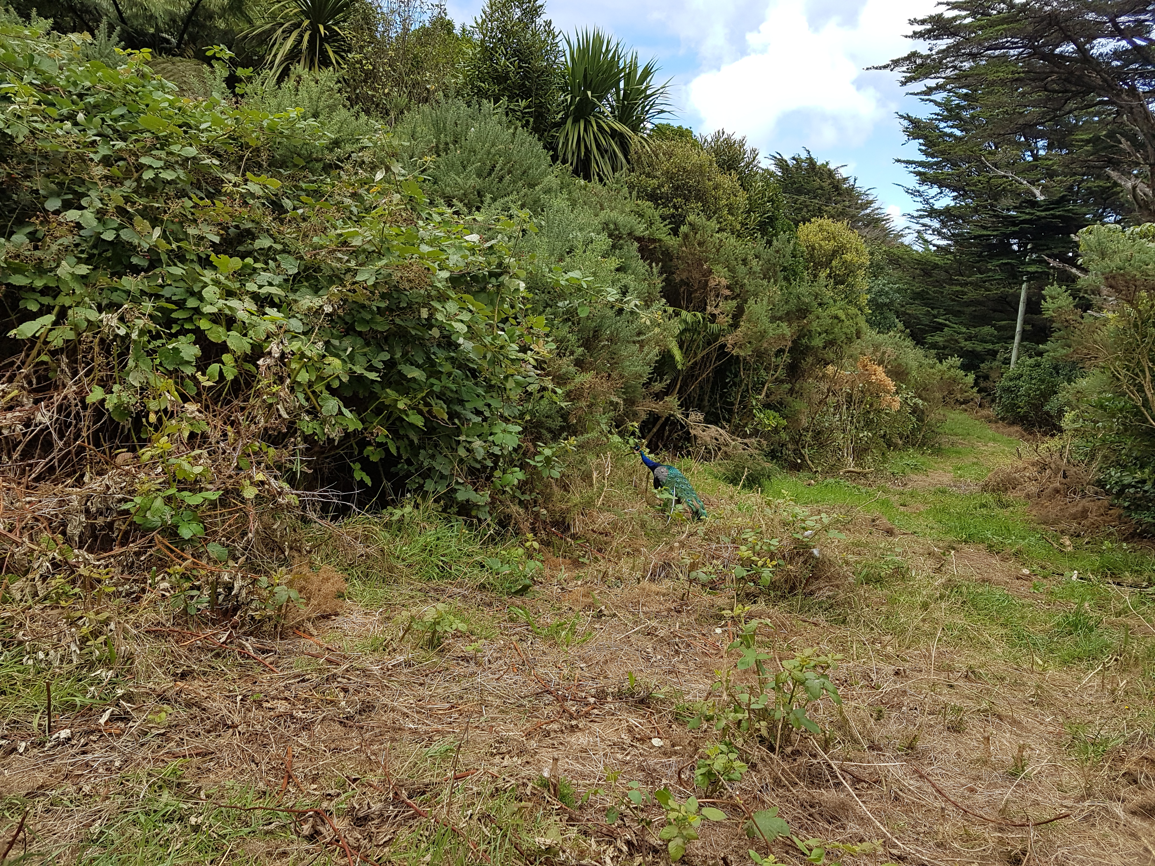 308 Normandale Road, Normandale, Lower Hutt, 0 Schlafzimmer, 0 Badezimmer