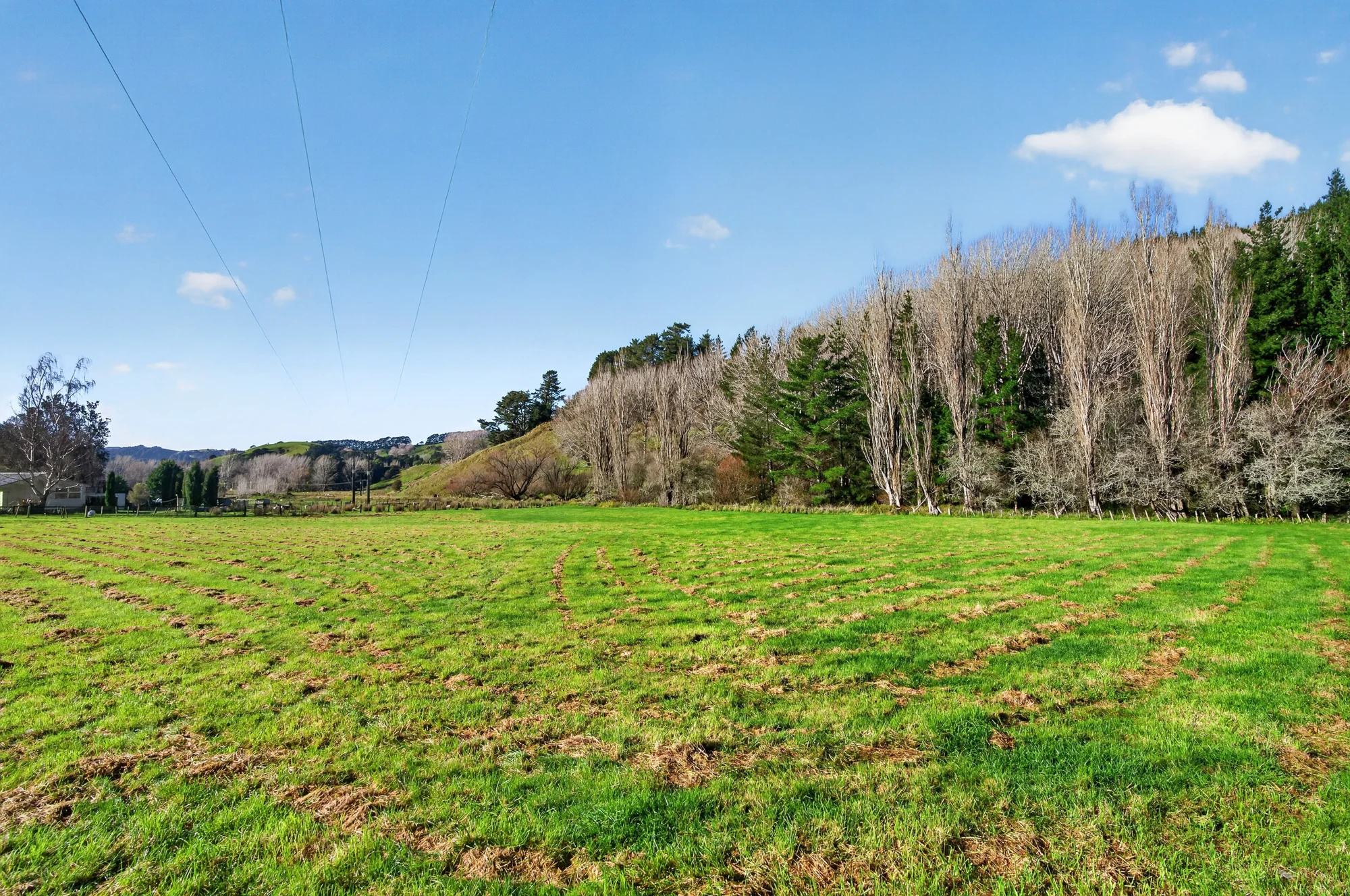 29 Blackhill Road, Tinui, Masterton, Wairarapa, 0 રૂમ, 0 બાથરૂમ, Lifestyle Property